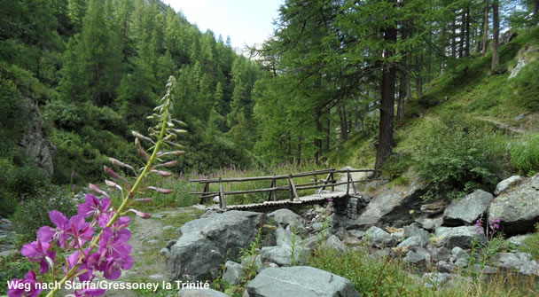 Weg nach Staffa,Gressoney la Trinité